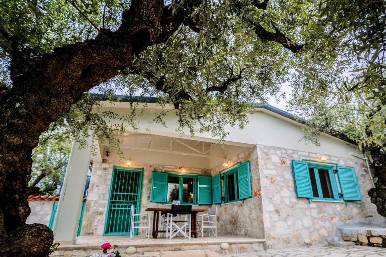 Tsantri Olive Grove Hébergement de vacances *